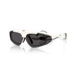 Emporio Armani 4010 629587 Güneş Gözlüğü