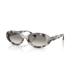Ray-Ban RB 2223 144832 Güneş Gözlüğü