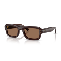 Ray-Ban RB 4954 689673 Güneş Gözlüğü, Çerçeve Şekli: Damla, Ekartman: 52