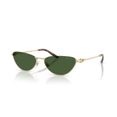 Ralph Lauren RL 7095 911671 Güneş Gözlüğü