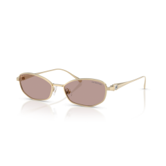 Swarovski SK 7042 40467N Güneş Gözlüğü