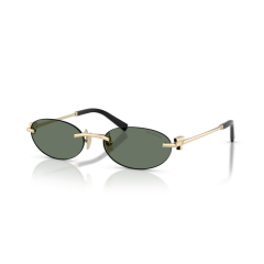 Tiffany TF 3119D 623882 Güneş Gözlüğü