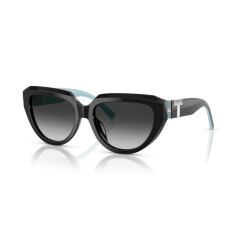 Tiffany TF 4238U 84653C Güneş Gözlüğü