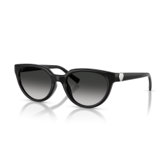 Tiffany TF 4256D 80013C Güneş Gözlüğü