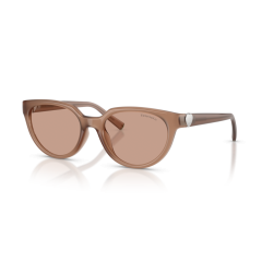 Tiffany TF 4256D 844973 Güneş Gözlüğü