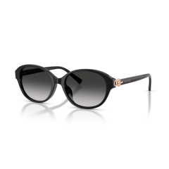 Tiffany TF 4263D 80013C Güneş Gözlüğü
