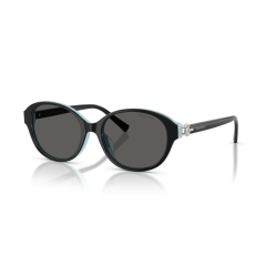 Tiffany TF 4263D 8055S4 Güneş Gözlüğü