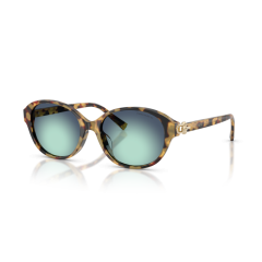 Tiffany TF 4263D 80649S Güneş Gözlüğü