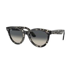 Ray-Ban RB 2241 133371 Güneş Gözlüğü, Ekartman: 51