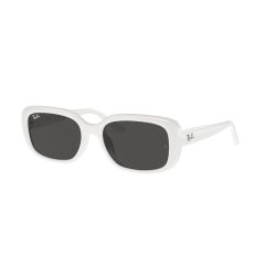 Ray-Ban RB 4421D 677287 Güneş Gözlüğü