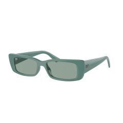 Ray-Ban RB 4425 676282 Güneş Gözlüğü