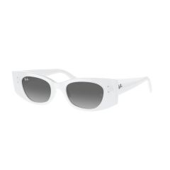 Ray-Ban RB 4427 675911 Güneş Gözlüğü