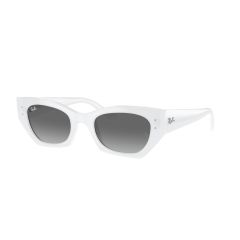 Ray-Ban RB 4430 675911 Güneş Gözlüğü, Ekartman: 49