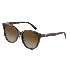 Tiffany TF 4209D 8015T5 Güneş Gözlüğü