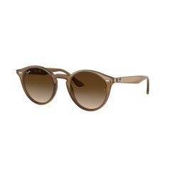 Ray-Ban RB 2180 616613 Güneş Gözlüğü