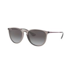 Ray-Ban RB 4171 65138G Güneş Gözlüğü