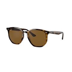 Ray-Ban RB 4306 710/83 Güneş Gözlüğü