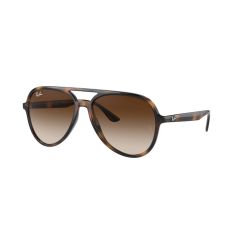 Ray-Ban RB 4376 710/13 Güneş Gözlüğü