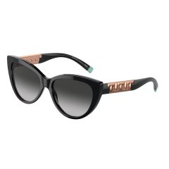 Tiffany TF 4196 80013C Güneş Gözlüğü