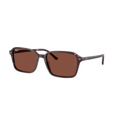 Ray-Ban RB 2231 1416C5 Güneş Gözlüğü, Ekartman: 56