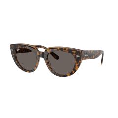 Ray-Ban RB 2286 1292B1 Güneş Gözlüğü, Ekartman: 49