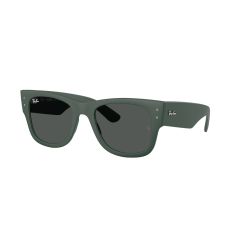 Ray-Ban RB 4840S 665787 Güneş Gözlüğü
