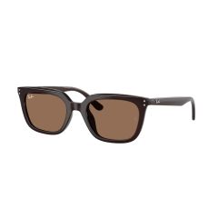 Ray-Ban RB 4439D 623173 Güneş Gözlüğü