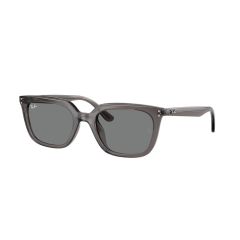 Ray-Ban RB 4439D 667587 Güneş Gözlüğü