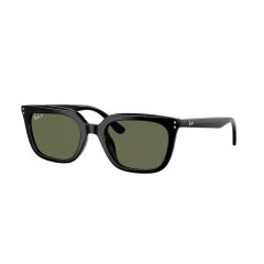 Ray-Ban RB 4439D 901/9A Güneş Gözlüğü