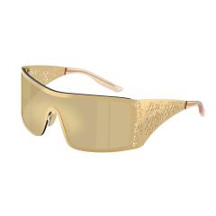Dolce & Gabbana DG 2317 02/7I Güneş Gözlüğü