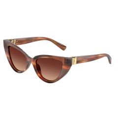 Dolce & Gabbana DG 4497 322113 Güneş Gözlüğü