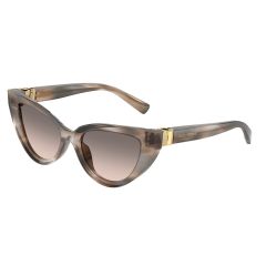 Dolce & Gabbana DG 4497 34493B Güneş Gözlüğü