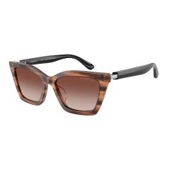 Emporio Armani EA 4250U 626613 Güneş Gözlüğü