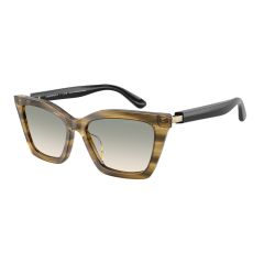 Emporio Armani EA 4250U 62672C Güneş Gözlüğü
