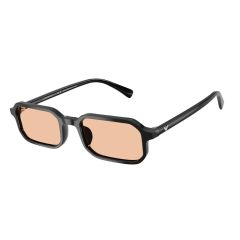 Emporio Armani EA 4253U 501793 Güneş Gözlüğü
