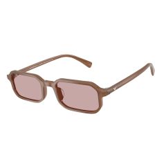 Emporio Armani EA 4253U 627173 Güneş Gözlüğü