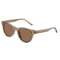Jimmy Choo JC 5043D 505173 Güneş Gözlüğü
