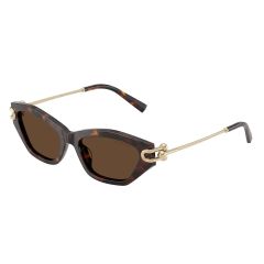 Tiffany TF 4231U 80153G Güneş Gözlüğü