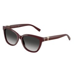 Tiffany TF 4237B 83893C Güneş Gözlüğü