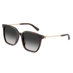 Tiffany TF 4244D 80153C Güneş Gözlüğü