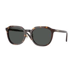 Versace VE 4493D 108/87 Güneş Gözlüğü