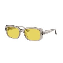 Ray-Ban RB 4421D 681885 Güneş Gözlüğü