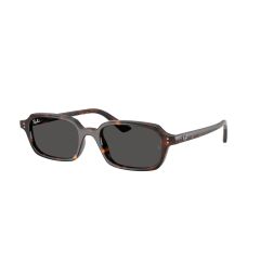 Ray-Ban RB 4455 135987 Güneş Gözlüğü