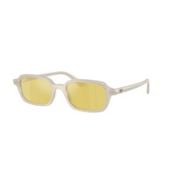 Ray-Ban RB 4455 68086D Güneş Gözlüğü