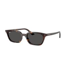 Ray-Ban RB 4456 135987 Güneş Gözlüğü