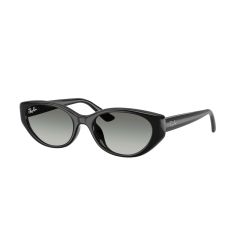 Ray-Ban RB 4457D 667711 Güneş Gözlüğü
