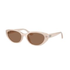 Ray-Ban RB 4457D 678673 Güneş Gözlüğü