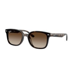 Ray-Ban RB 4461D 710/13 Güneş Gözlüğü