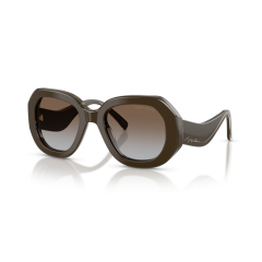 Giorgio Armani AR 8248 634089 Güneş Gözlüğü