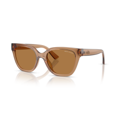 Armani Exchange AX 4164SU 839673 Güneş Gözlüğü